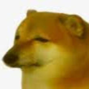 Meet your Posher, Emma